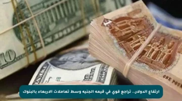 ارتفاع الدولار.. تراجع قوي في قيمة الجنيه وسط تعاملات الأربعاء بالبنوك